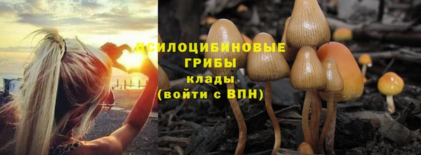 PSILOCYBIN Беломорск